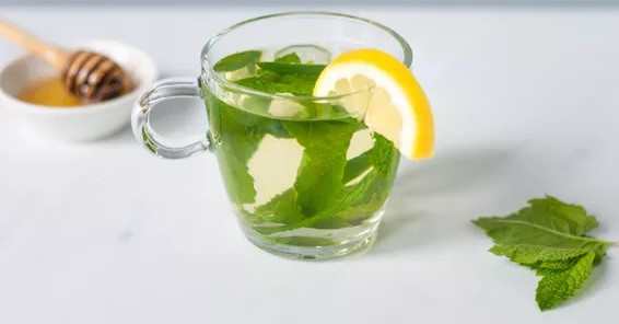 Fresh Mint